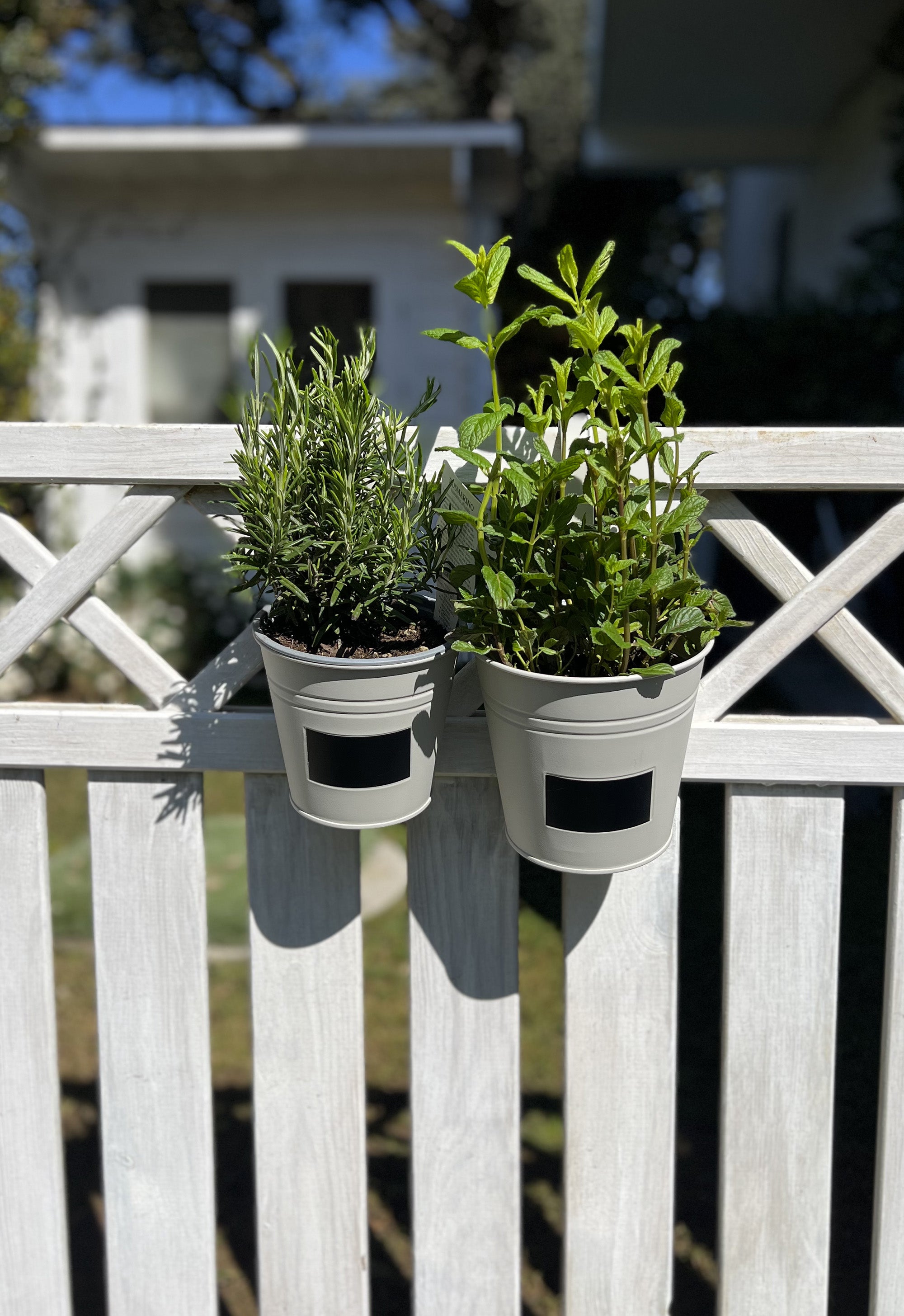 Vaso in ferro Grigio con gancio e lavagnetta medio - A.Bi.Ci. Lab